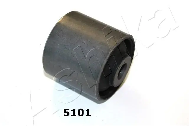 GOM5101 Ashika