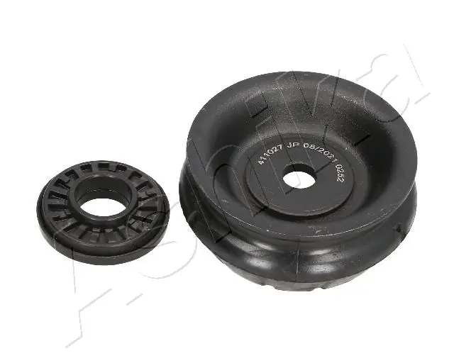 SMA0252 Ashika