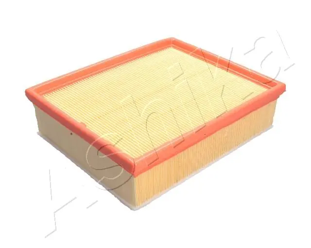 Filtro de ar 1221004 Ford