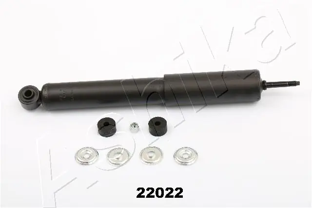 MA22022 Ashika