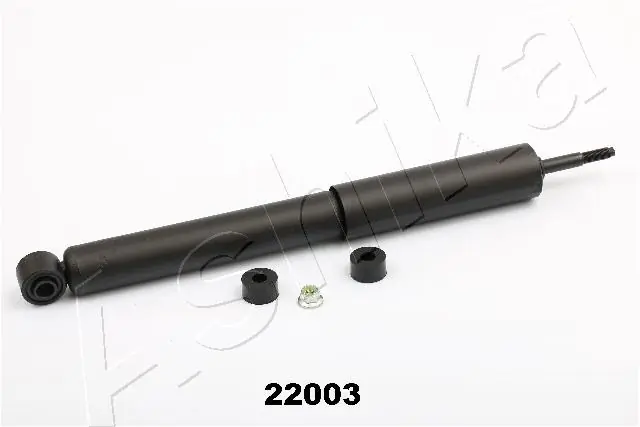 MA22003 Ashika