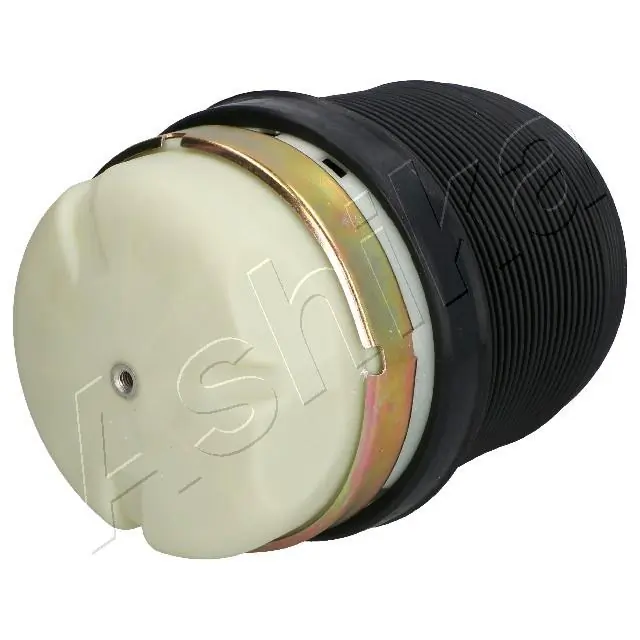 REC60AS0010 Amity AP Coxim pneumático (suspensão de lâminas pneumática) do eixo traseiro