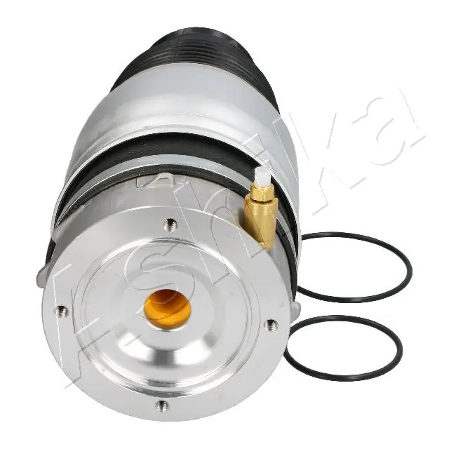 Compre REC60AS0022 Amity AP Coxim pneumático (suspensão de lâminas pneumática) do eixo dianteiro