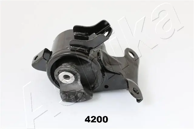 GOM4200 Ashika