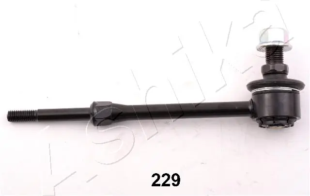 10602229 Ashika