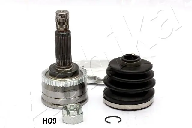 620HH09 Ashika