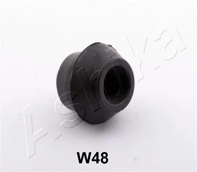 GOMW48 Ashika