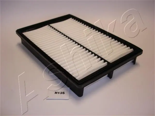 200H013 Ashika