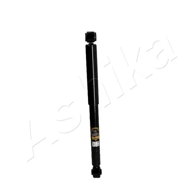 MA60016 Ashika