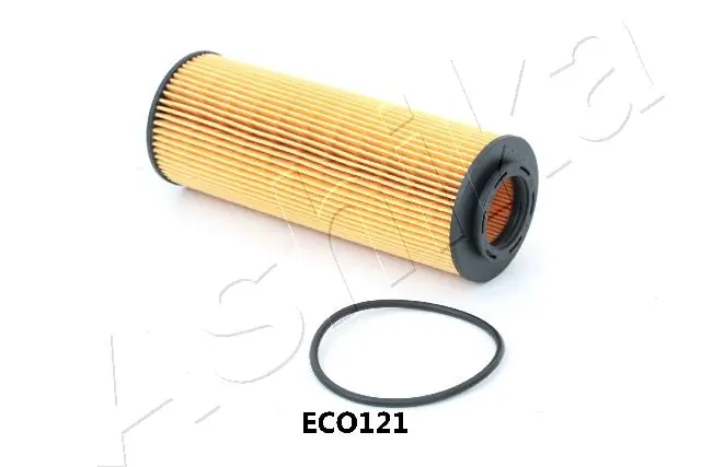 10ECO121 Ashika