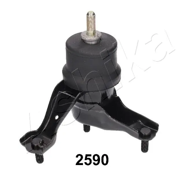 GOM2590 Ashika