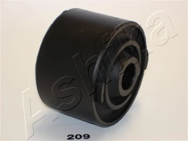 GOM209 Ashika