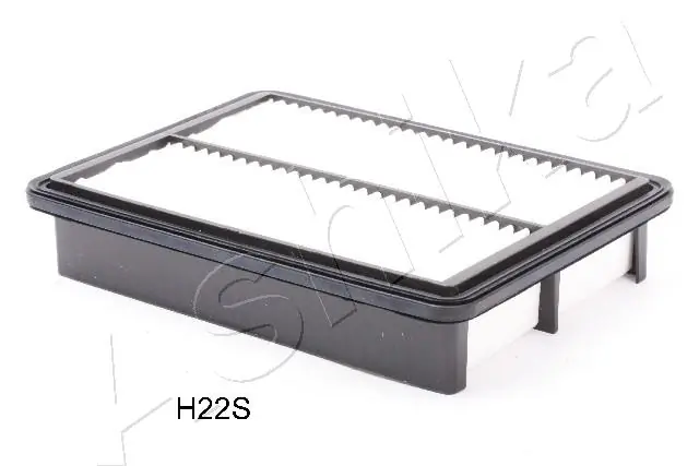 200HH22 Ashika