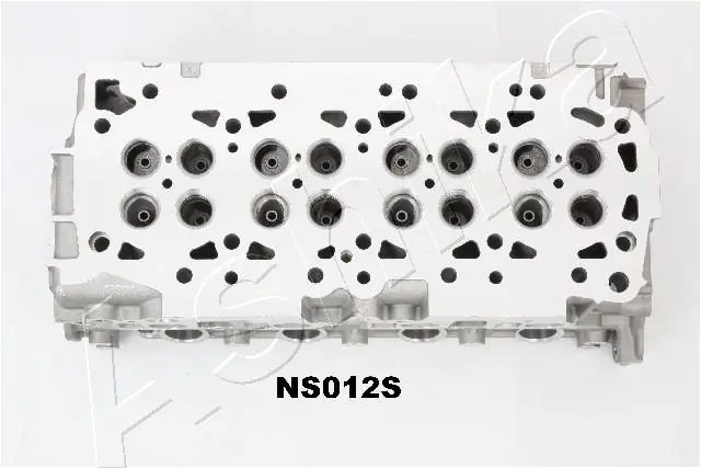 Cabeça de motor (CBC) NS012S Ashika