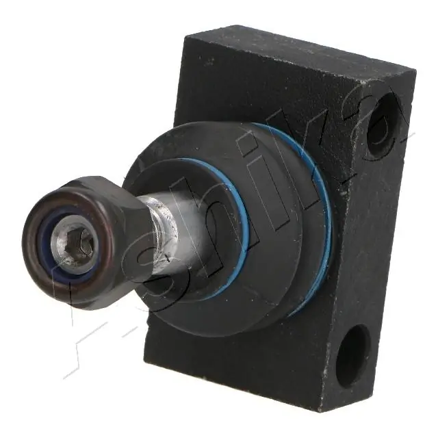 730MM00 Ashika