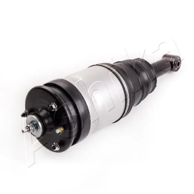  Amortecedor traseiro Land Rover Range Rover SPORT I SUV (L320) (2005 - 2013) SPORT I