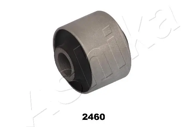 GOM2460 Ashika