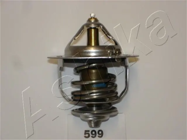 Termostato Nissan Terrano I WD21