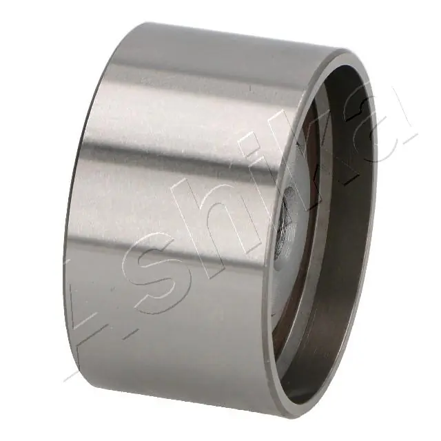 Compre RC224102 Polcar Rolo parasita da correia do mecanismo de distribuição de gás