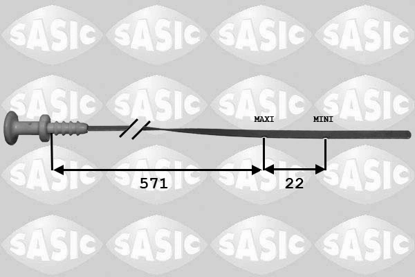 1940011 Sasic