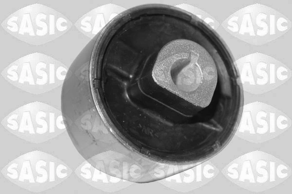 545609807R Renault (RVI) Bloco silencioso dianteiro do braço oscilante inferior