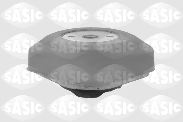 9001954 Sasic