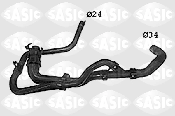 SWH0485 Sasic