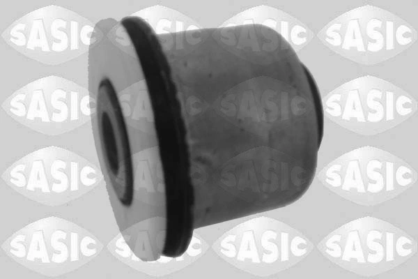2250019 Sasic