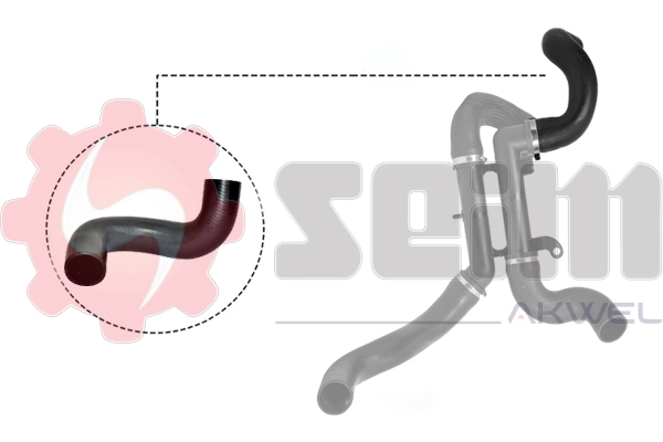 982006 Seim