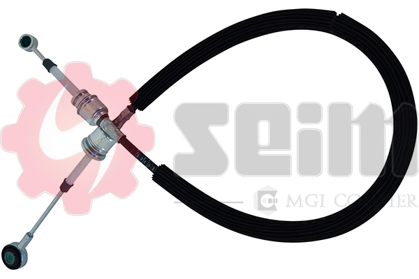 555253 Seim