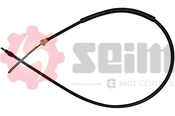 203880 Seim