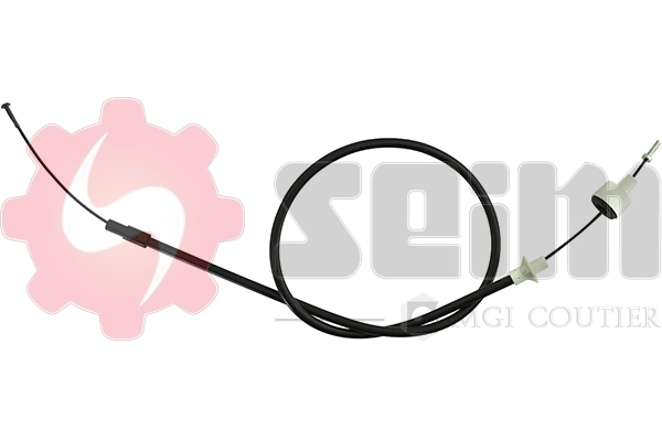 600310 Seim