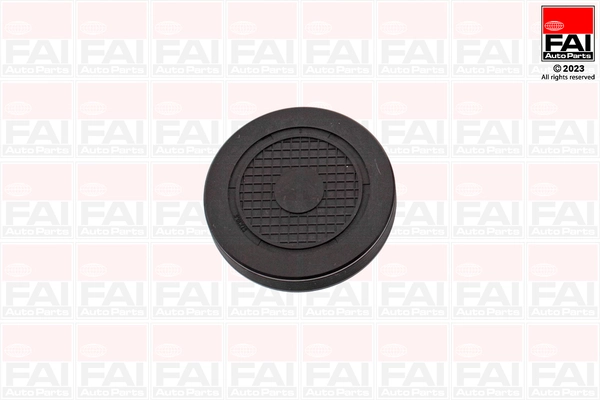 Tampão CBC/do bloco de cilindros Renault Clio SYMBOL LB0, LB1, LB2