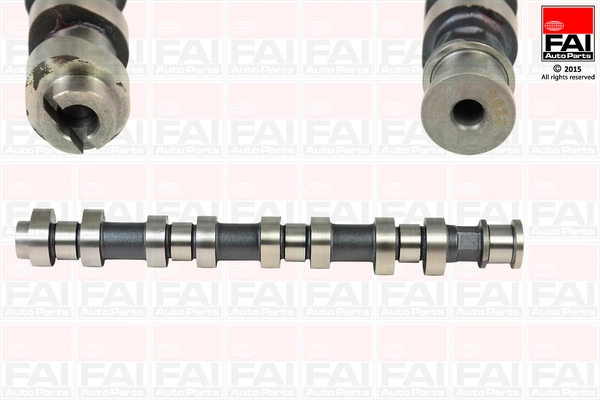 C307 FAI