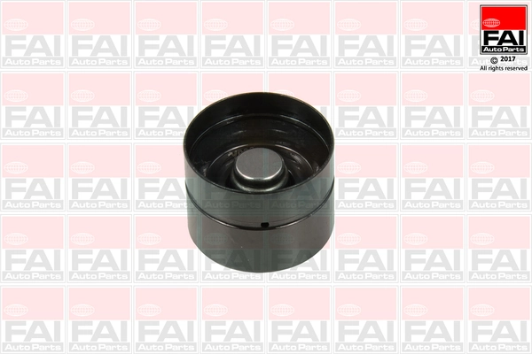 BFS318S FAI