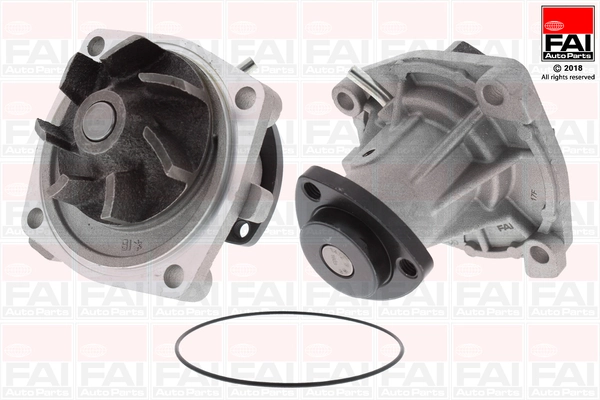 WP6119 FAI