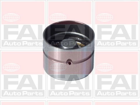 BFS66S FAI