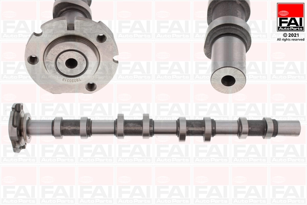 C251 FAI
