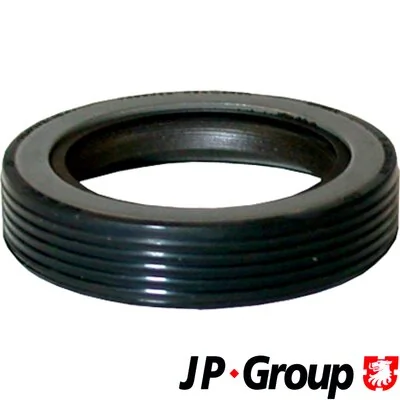 1119500100 JP Group
