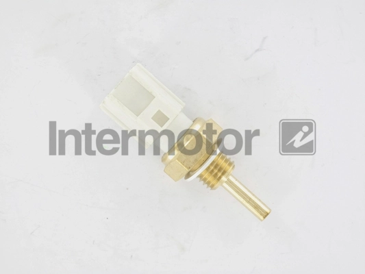 55542 Intermotor