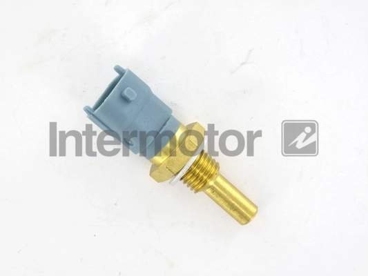 55526 Intermotor