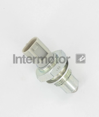 54906 Intermotor