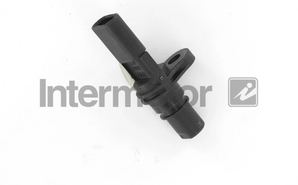 17273 Intermotor