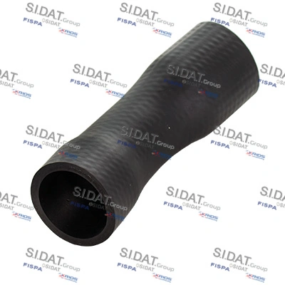 500569 Sidat