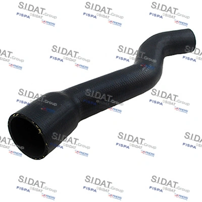 500635 Sidat