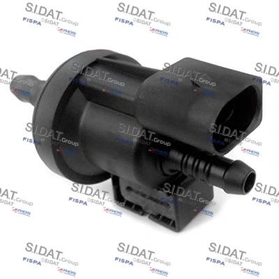 81440 Sidat