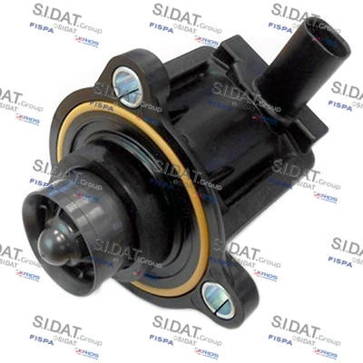 81370 Sidat