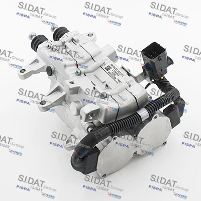 BD010024 Sidat