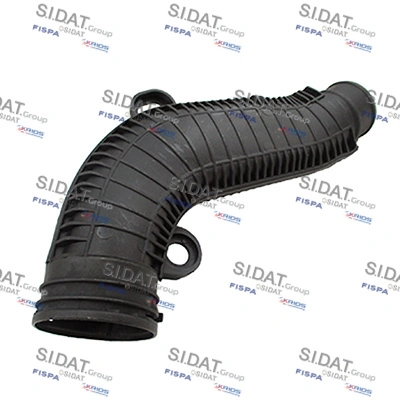 500554 Sidat