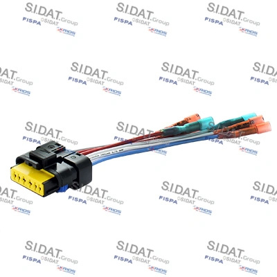 405154 Sidat